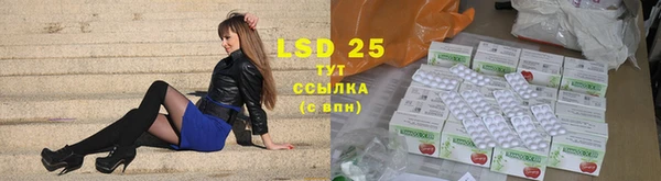 гидра Карпинск