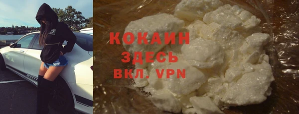 гидра Карпинск