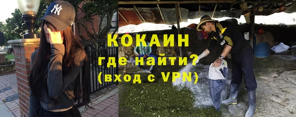 гидра Карпинск
