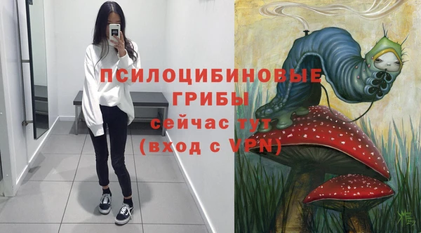 гидра Карпинск