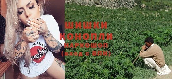 гидра Карпинск