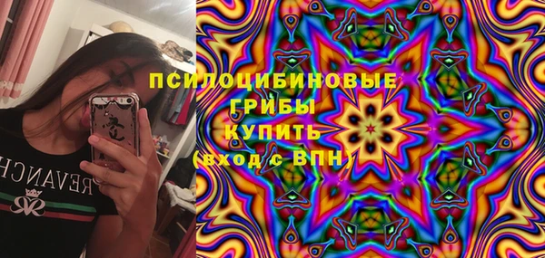гидра Карпинск