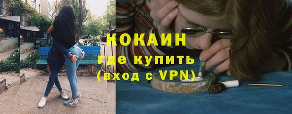 гидра Карпинск